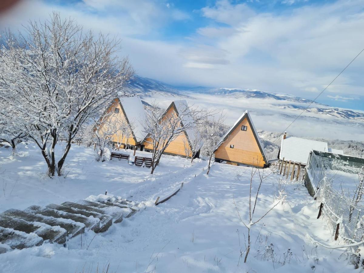 Cez A-Frame Villa Petroşani Buitenkant foto